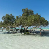 Natuurliefhebber? Check National Park Wadi El Gemal