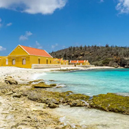 Wildlife spotten op Bonaire; hier moet je zijn!