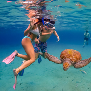 Beestenboel op Curaçao! Deze dieren kun je spotten op het Caribische eiland