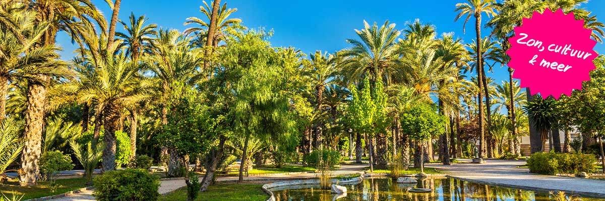 De leukste uitstapjes aan de Costa Blanca