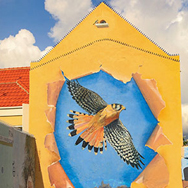 Kleurrijk! Spot street art op Curaçao